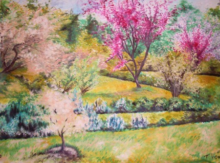 Alberi rosa 